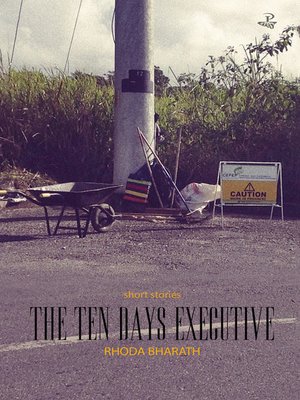 cover image of The Ten Days Executive